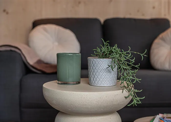 Tinyhouse 2 Pers Met Hottub *